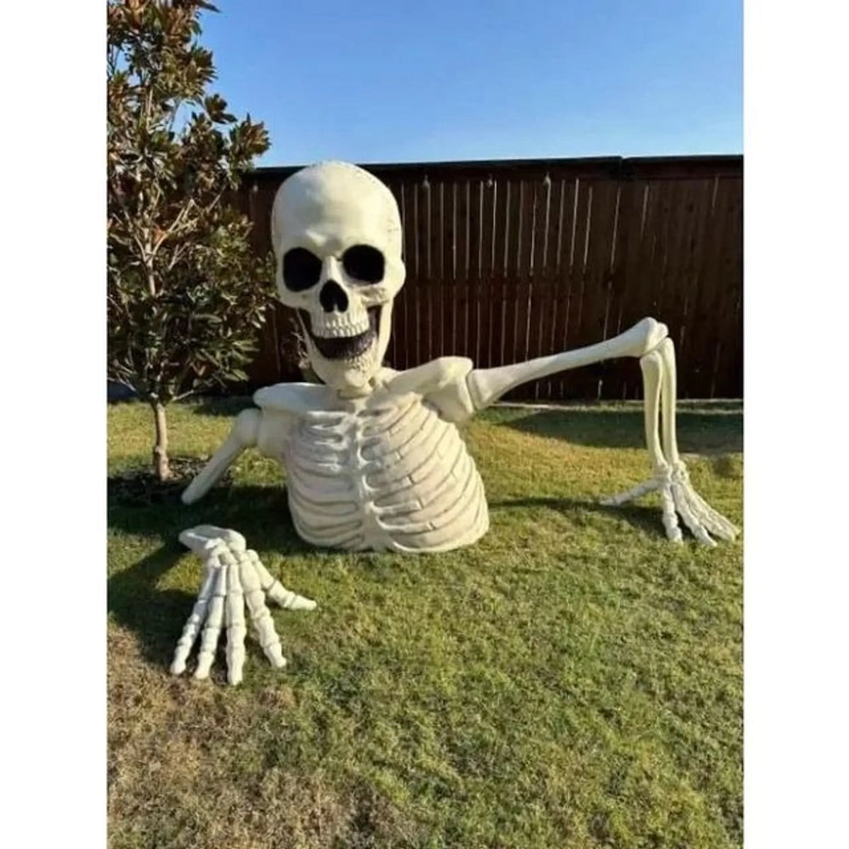 👻🎃Halloween Pre-sale 50% OFF🔥+FREESHIPPING🔥–Towering Skeleton with LED Eyes & Haunting Sounds 👻